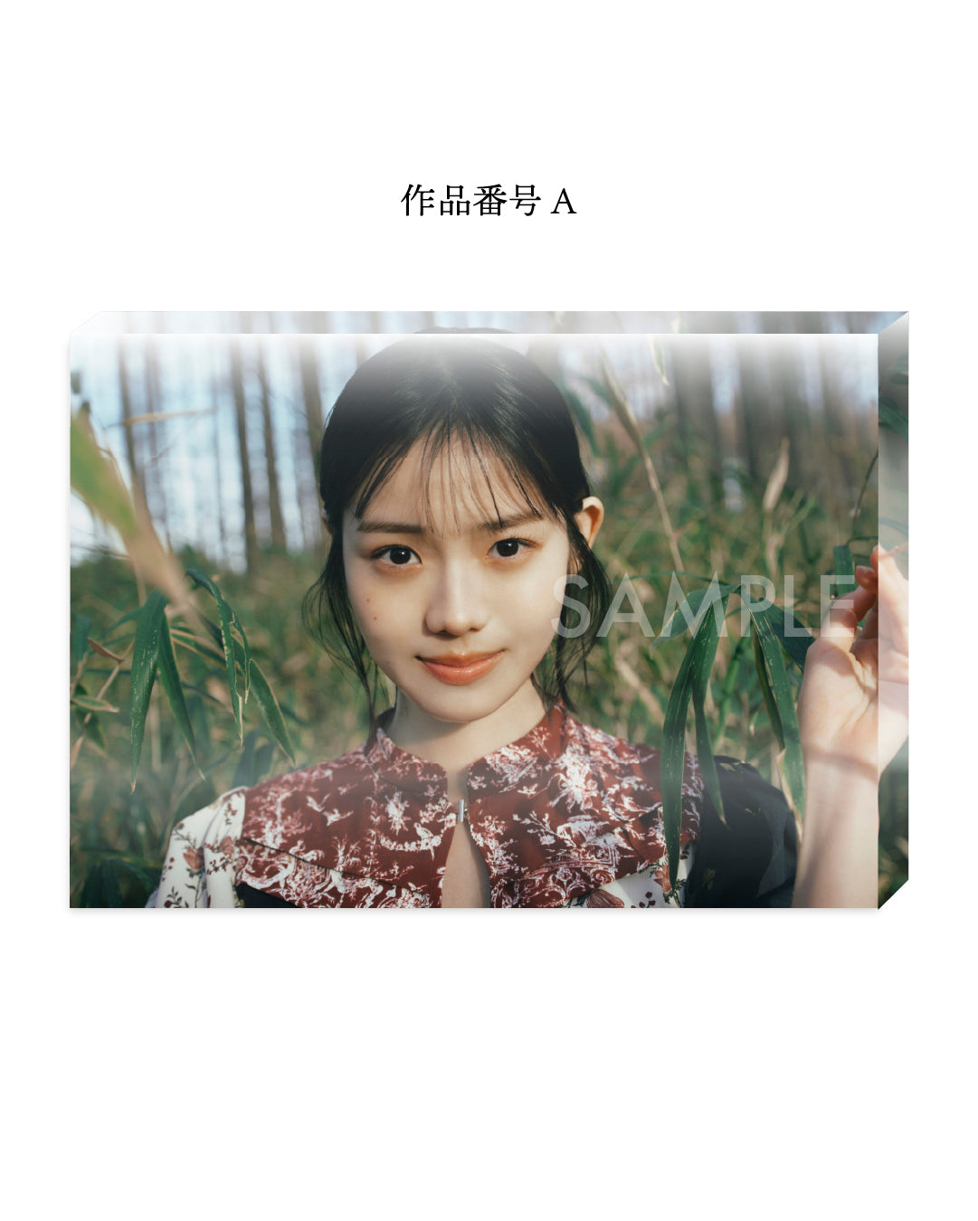 志田こはく アクリルフォト