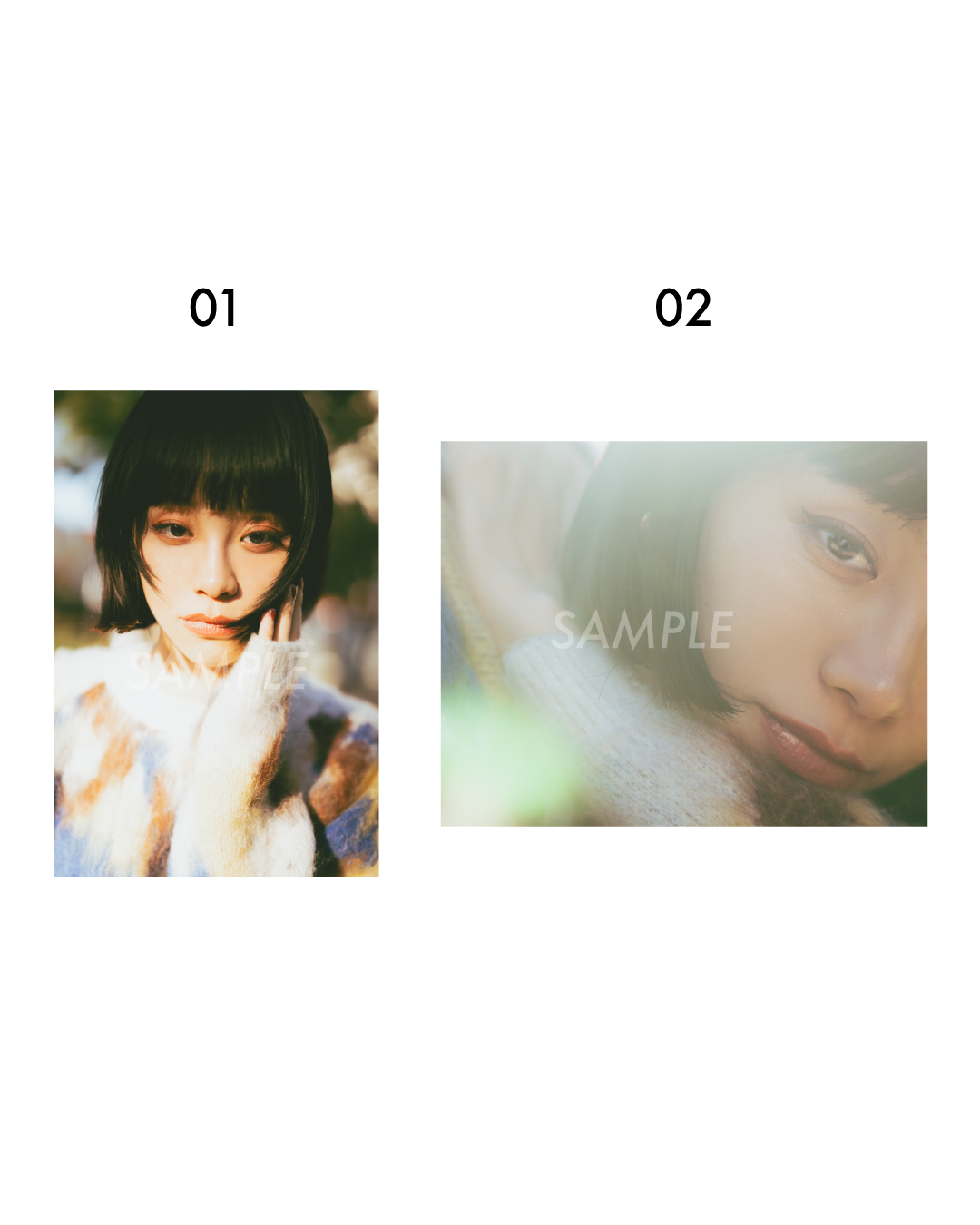 る鹿 マット入り写真作品01-10（A5・A4サイズ）