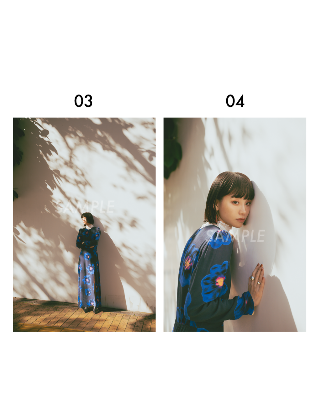 る鹿 マット入り写真作品01-10（A5・A4サイズ）