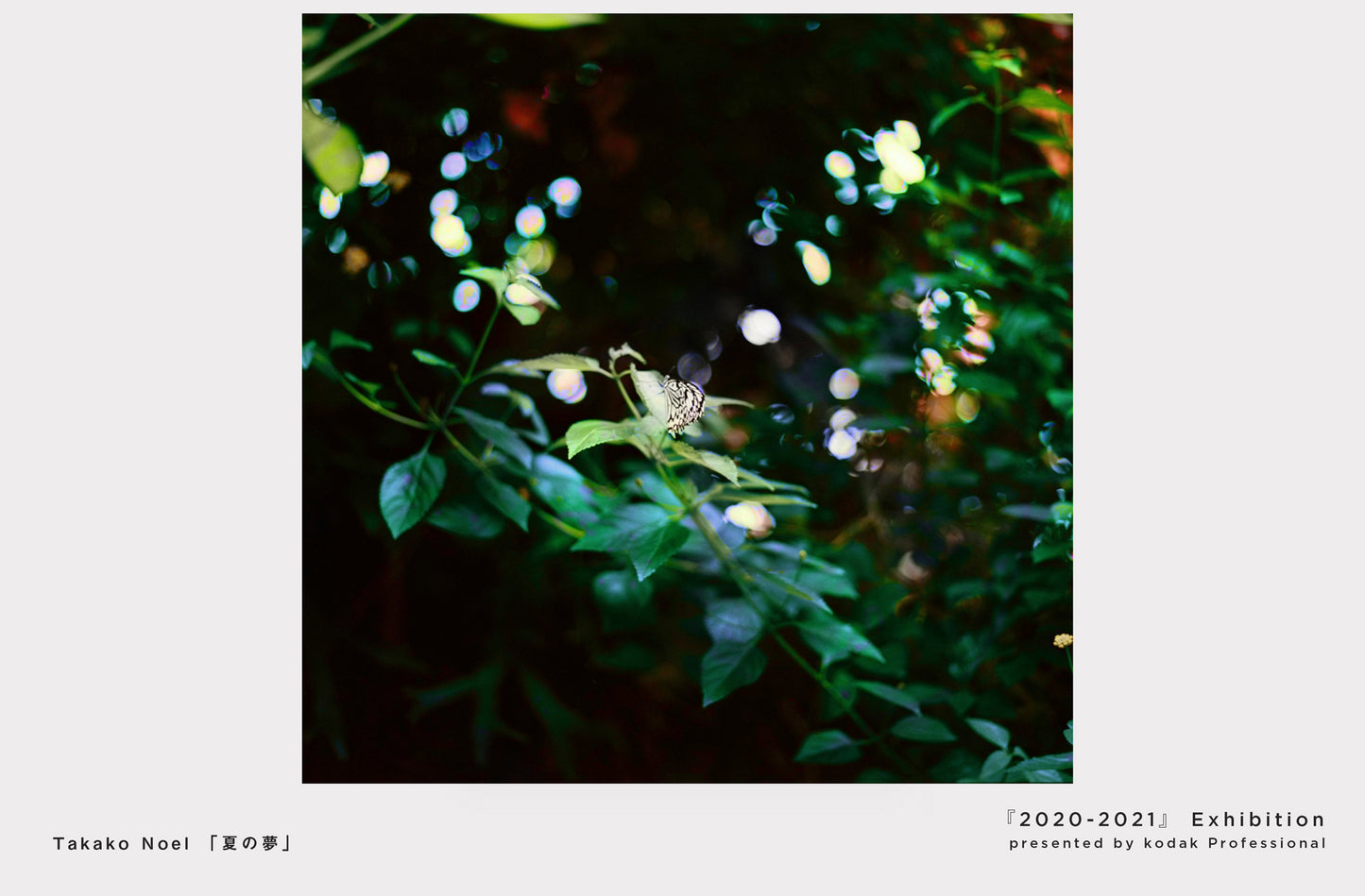 ［ postcard set ］