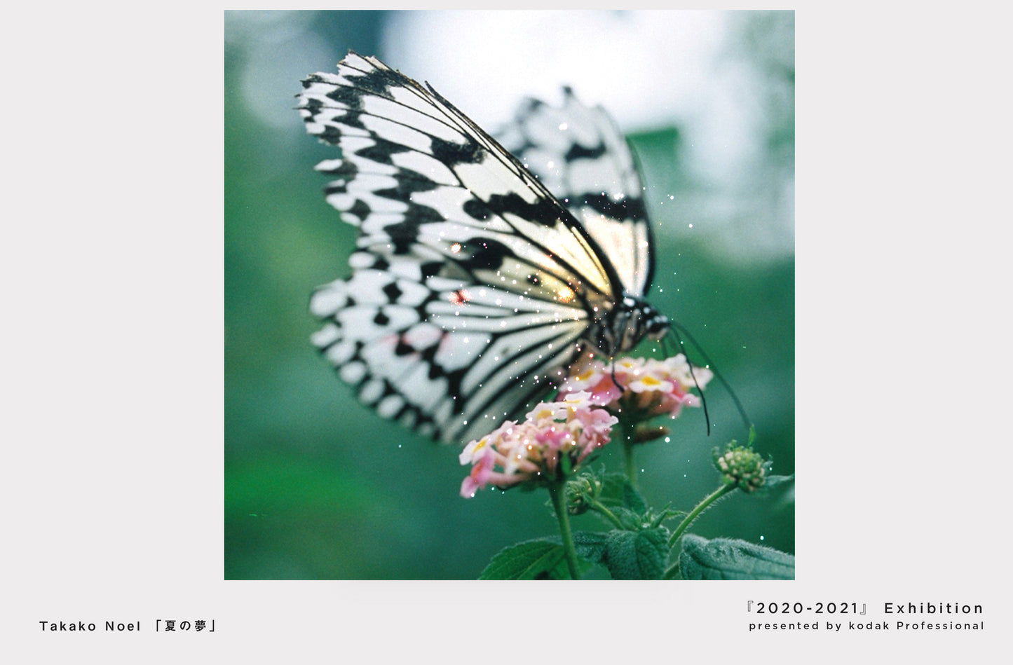 ［ postcard set ］